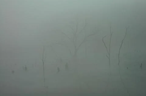 Fog On The Water 스톡 사진