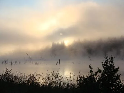 Fog on the water. Stock Photos