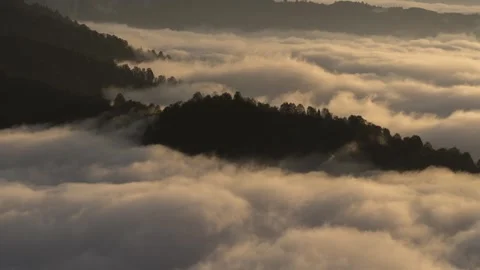 Fog Wave Vídeos de archivo 334795735