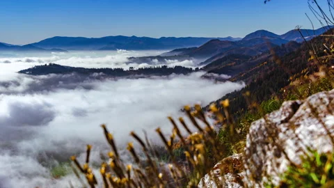 Fog waves moving in the wind. Stock Footage 152412796