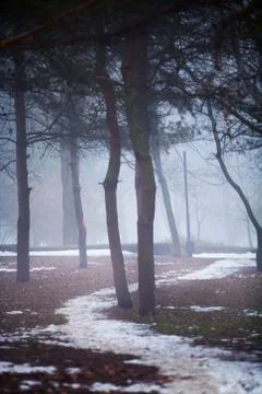 Fog on a way Stock-Fotos