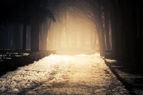 Fog on a way 스톡 사진