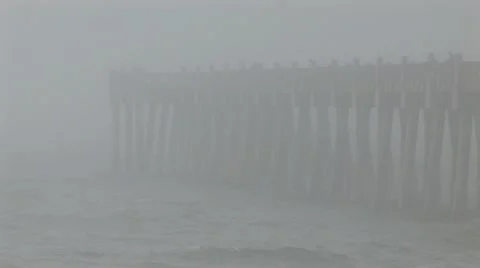 Fog - Weather Stock Footage 12626585