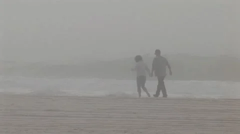 Fog - Weather Stock Footage 12626618