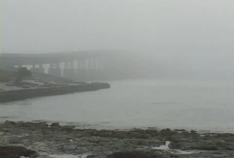 Fog - Weather Stock Footage 21010059