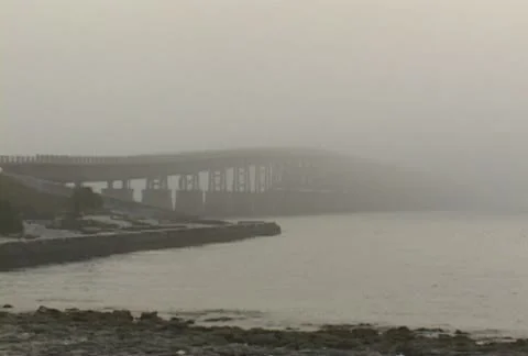 Fog - Weather Stock Footage 21010579