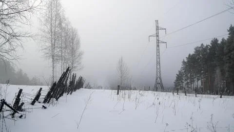 Fog in the winter forest. Stock Photos