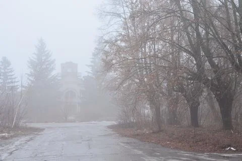 Fog in winter when warming Stock Photos