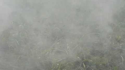 Fogg agricultural fields Vídeos de archivo 332590295