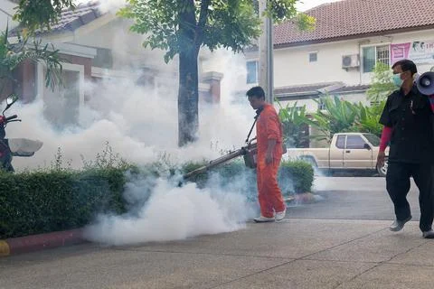 Fogging DDT spray kill mosquito Stock-Fotos