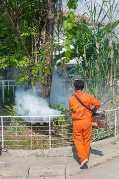 Fogging DDT spray kill mosquito Foto stock