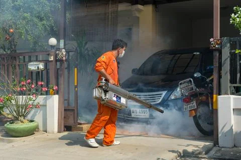 Fogging DDT spray kill mosquito 写真素材