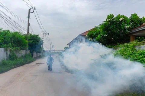 Fogging DDT spray mosquito kill for virus protect Foto stock