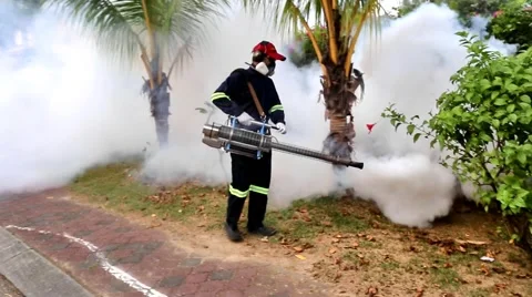 Fogging insecticides on Aedes Mosquitoes Stock Footage 54645745