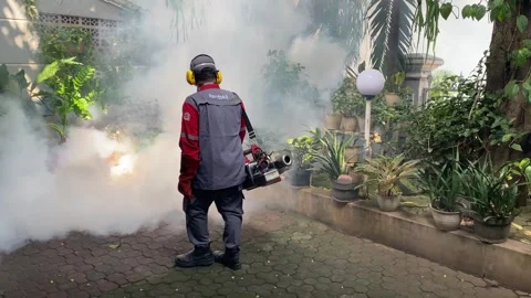 Fogging mosquito Stock Footage 317805473