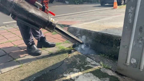 Fogging mosquito Stock Footage 317805765