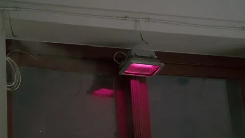 Fogging system working Stock Footage 270156727