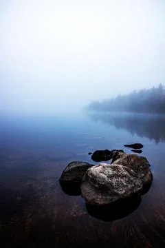 Foggt dawn vertical Stock-Fotos