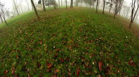 Foggy 1 Stock Footage 12618339