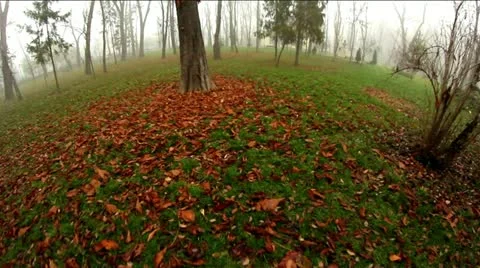 Foggy 2 Stock Footage 12618155