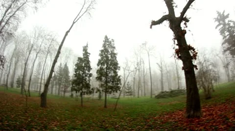 Foggy 3 Stock Footage