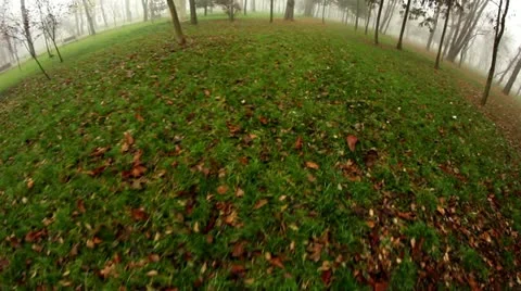 Foggy 4 Stock Footage 12618257