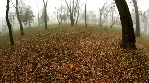 Foggy 5 Stock Footage 12618211