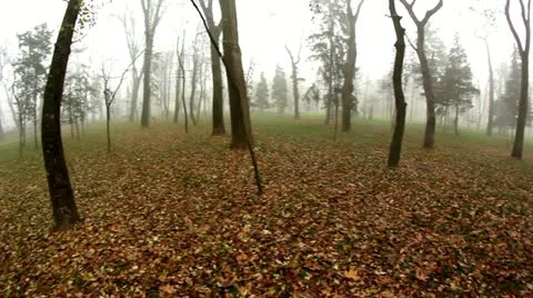 Foggy 6 Stock Footage 12618181