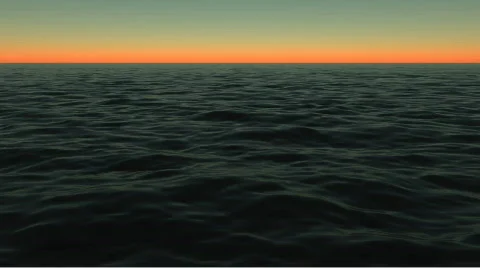 Foggy Afternoon Video stock 104701