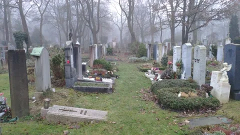 Foggy Afternoon at Graveyard 動画素材 168529875
