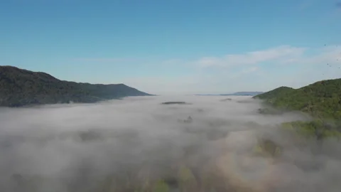 Foggy Appalachian Morning Stock Footage