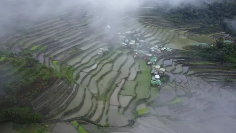 Foggy Batad Rice Terraces Stock Footage 224644916