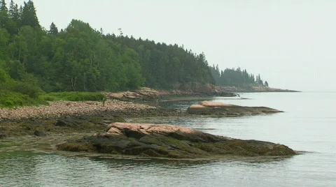 Foggy bay Video stock 146739