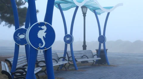 Foggy Beach Benches Stock Footage 36268933