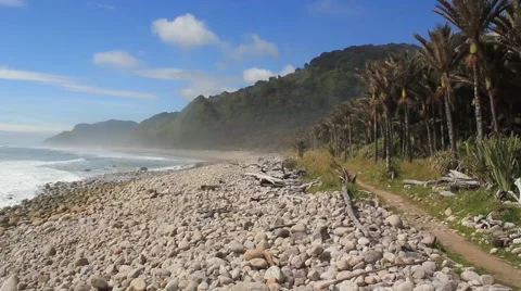Foggy Beach Stock Footage 47432374
