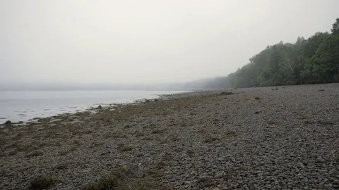 Foggy Beach Stock-Footage 77240831