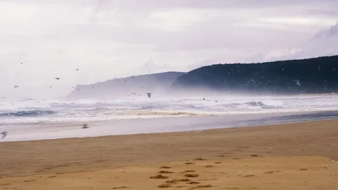 Foggy beach ocean Stock Footage 83558459