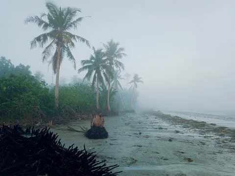 Foggy Beach Stock Photos