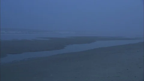Foggy beach twilight Stock Footage 87752731