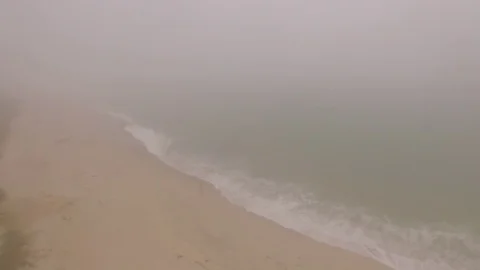 Foggy beachside Stock Footage 78773773