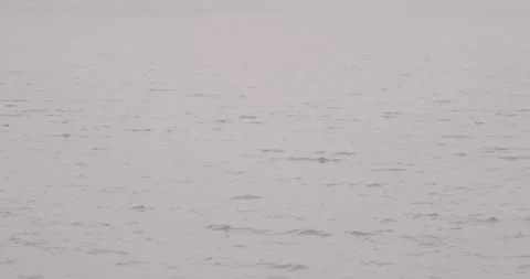 Foggy bridge Stock Footage 260744788