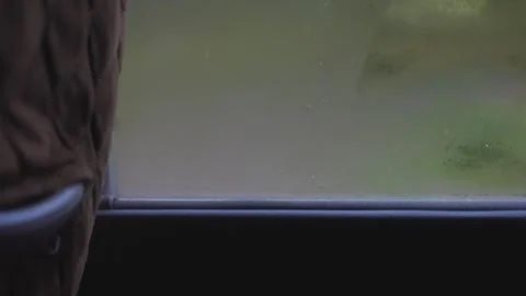 Foggy bus window viewing the green landscape of outside Stock Footage 344010631