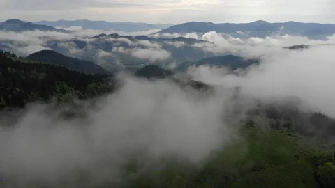 Foggy Carpathian forest after rainy  Video stock 123729124