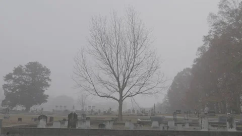Foggy Cemetery Stock Footage 168214769