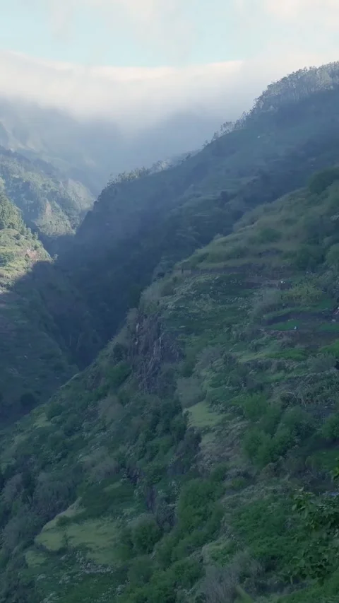 Foggy cloud layer floating over a green mountain valley 库存影片 334442554