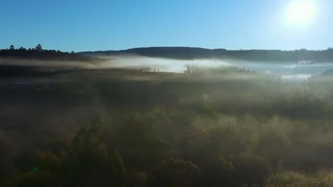 Foggy Clouds Covering Lush Tree Forest At Sunrise Stock Footage 302082771