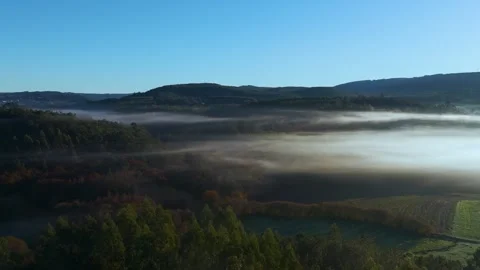 Foggy Clouds Engulfing Forest And Lake Stock Footage 300098832