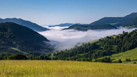 Foggy Clouds Flowing Through Mountain Valley on Sunny Morning Stock Footage 314079991