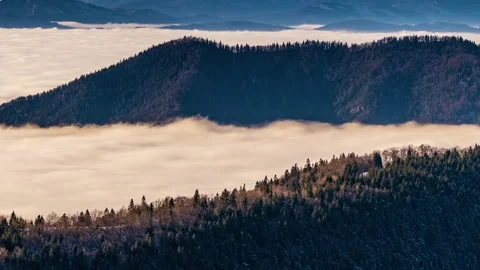 Foggy clouds in forest mountains landscape time lapse Stock Footage 147029383