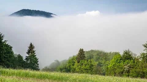 Foggy clouds over forest Time lapse Stock Footage 92169724